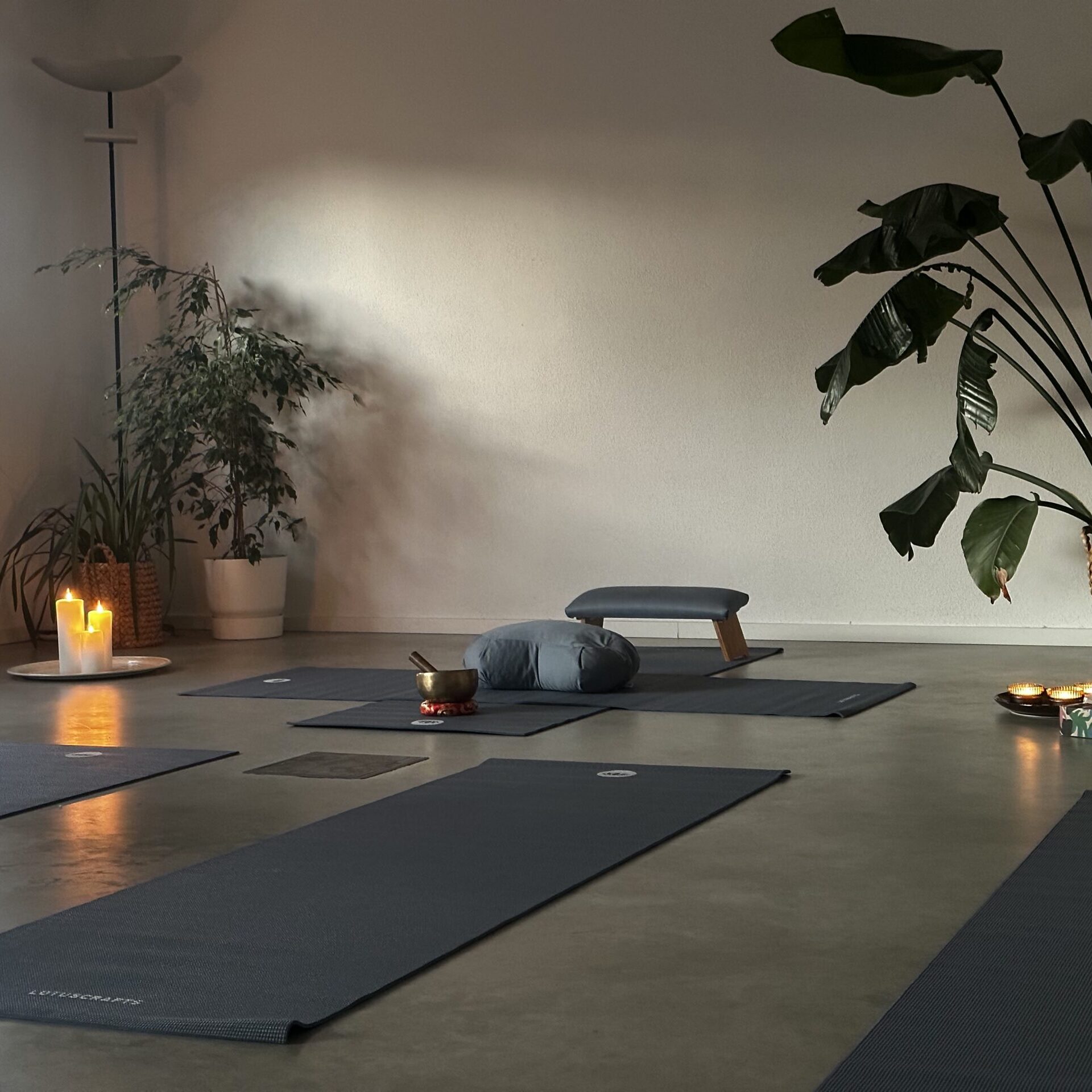 Yoga Nidra Braunau balancelab.at Mitzi Engelbutzeder