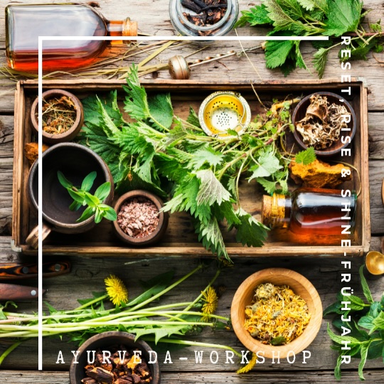 Ayurveda-Workshop Mitzi Engelbutzeder BalanceLab